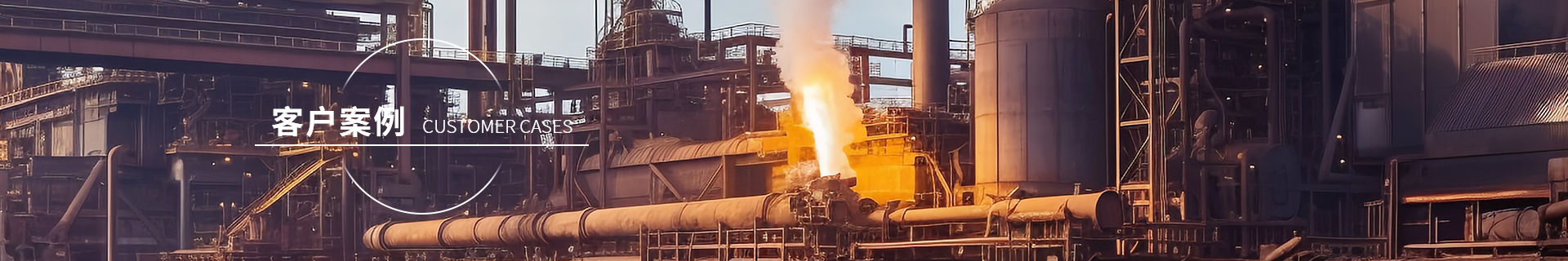 ����˹ר����(�й���)�ٷ���վ