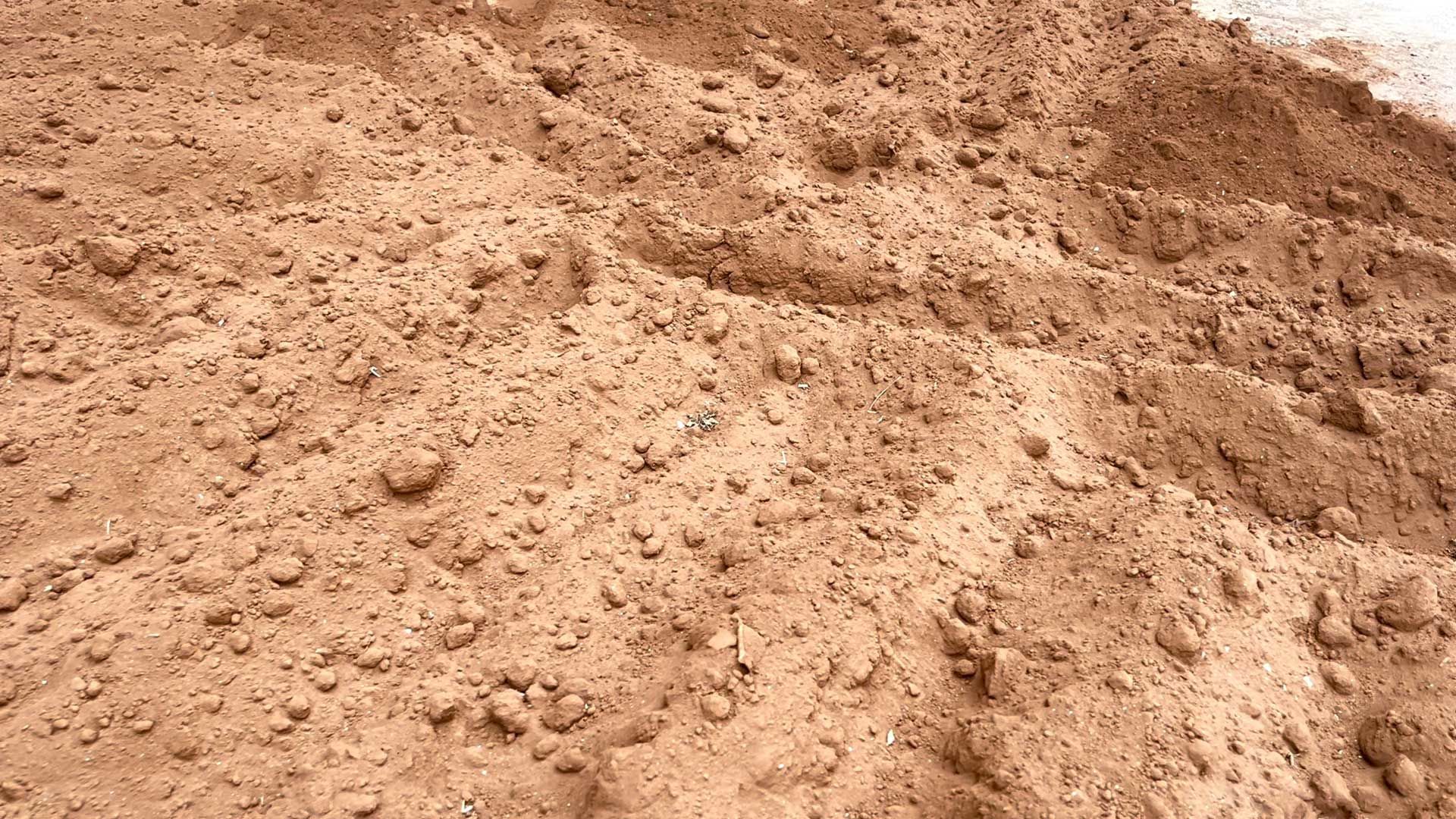 �ֳ��̷ϵ�����