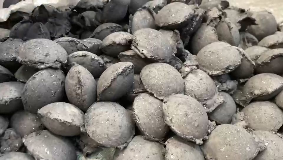 ����ճ�ϼ�����������ʲô��������������