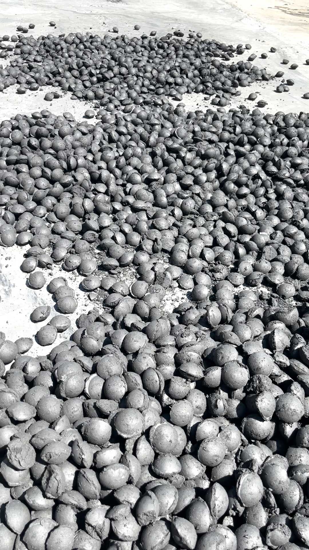 ����˹��ר����(�й���)�ٷ���վ�����ճ�ϼ�������������Ч��