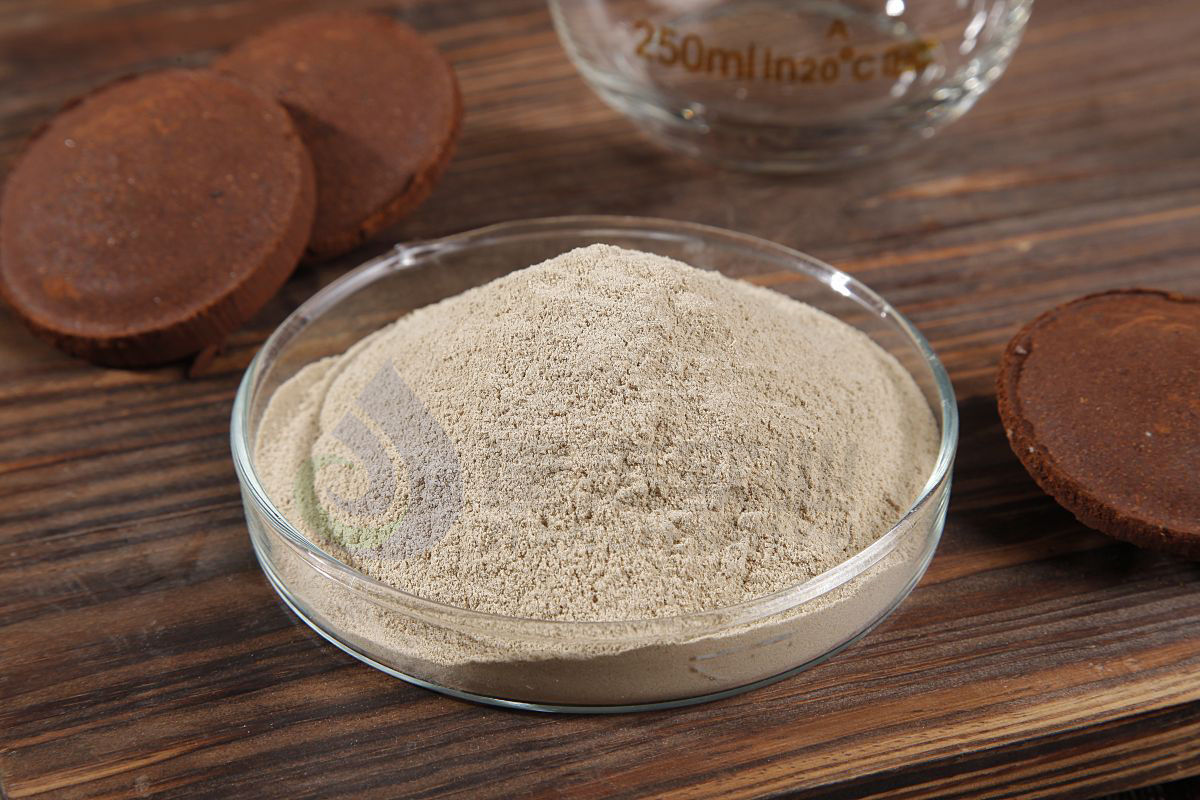 �ֳ���п�����Ҷ����ļ�����������������