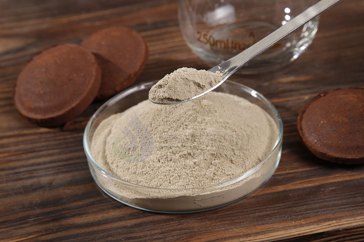 ת��¯������ʲô��������������