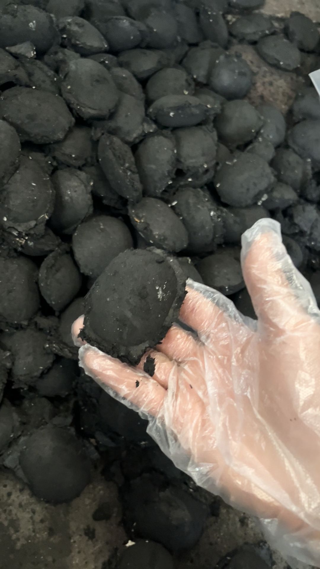 ����ճ�ϼ�ճ���ο���